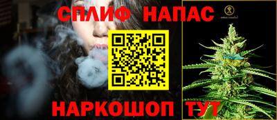 индика Назарово